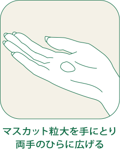 使用方法説明画像(マスカット粒大を手にとり両手のひらに広げる)